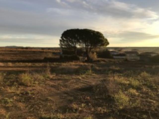 Autignac Vente Terrain 34