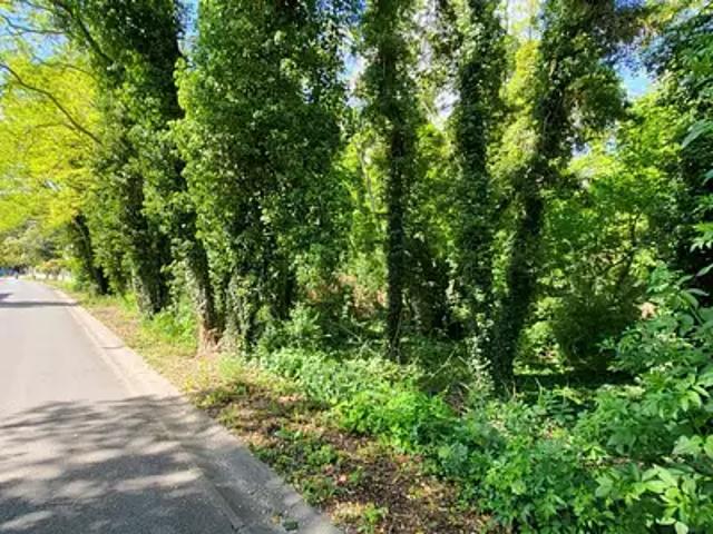 Auvers Saint Georges 91580 Achat / Vente terrain