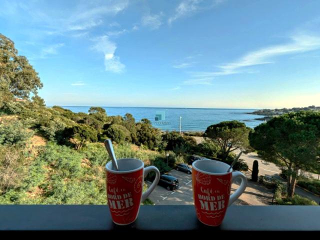 Aux Issambres, T2 avec belle vue mer, terrasse et parking