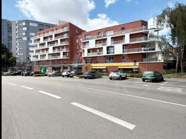 ✨ Aux portes du Vieux Lille T4 dernier étage avec 2 parkings