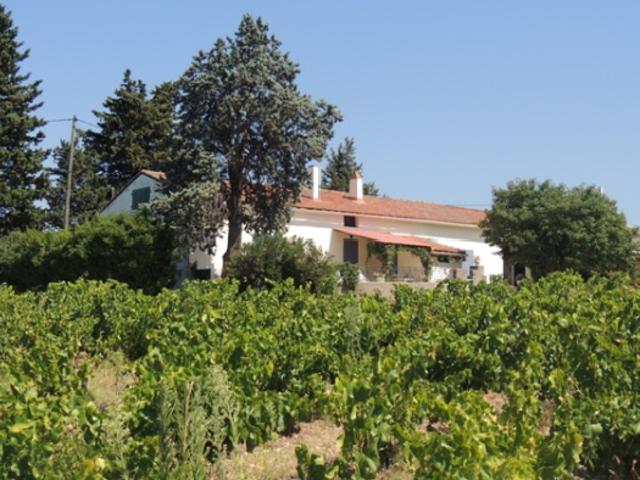 AUX PORTES D'AVIGNON DOMAINE DE 24.50 HA SUR UN TERROIR QUAL