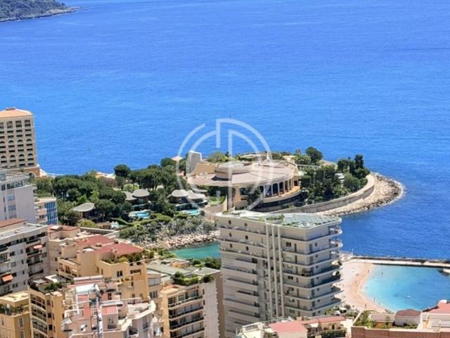 AUX PORTES DE MONACO SUPERBE PENTHOUSE RENOVÉ
