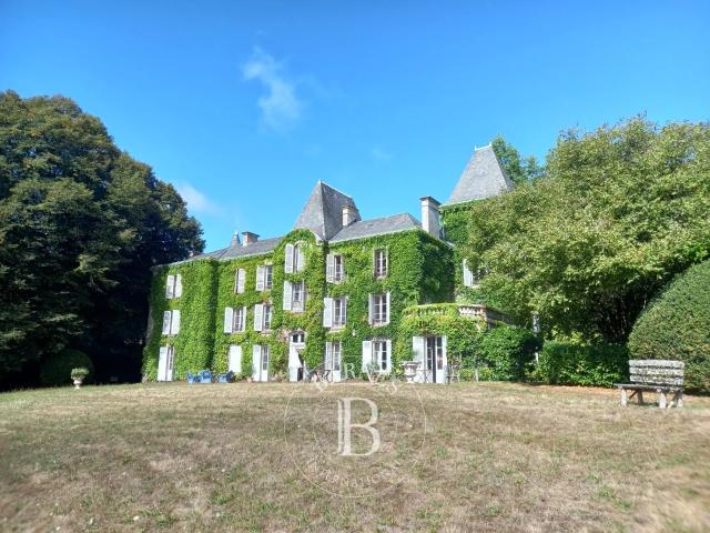 Aux portes de Limoges Château XVIIe et XIXe à rénover Te. 533m² Limoges