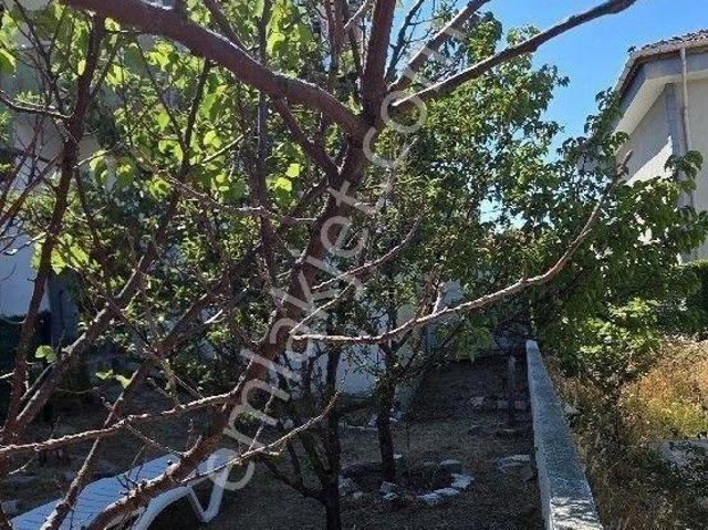 Avşa Adası Deniz Mah 2+1 Bahçe Katı Daire İskanlı Krediye Uygun
