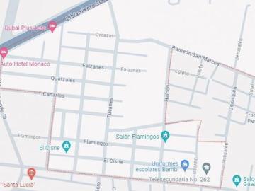 Av. Flamingos, Fraccionamiento, Los Pájaros, Tuxtla Gutiérrez
