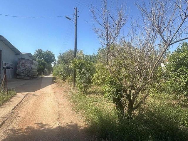 AVNİ TOLUNAY MH KİRALIK 1205 m2 EV VE ARSA