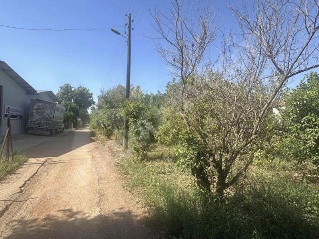 AVNİ TOLUNAY MH KİRALIK TARLA 1,200 m2