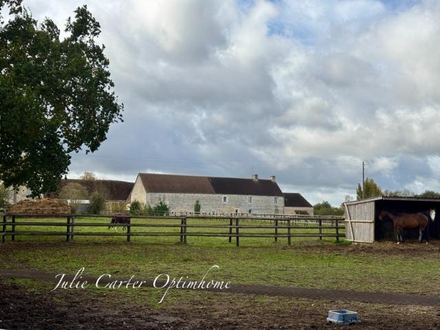 Avoine Vente Propriété/château 61