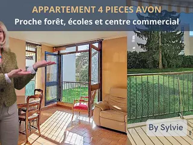 Avon 77210 Achat / Vente appartement 4 pièces t4 cave parking