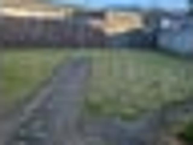 Avalon, 2 bedrooms, $580 pw