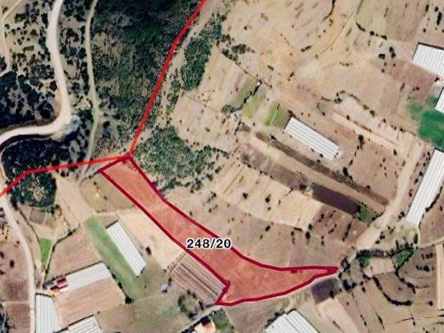 ÇAVDIR KOZAĞAÇTA 23 DÖNÜM TEK TAPU TARLA