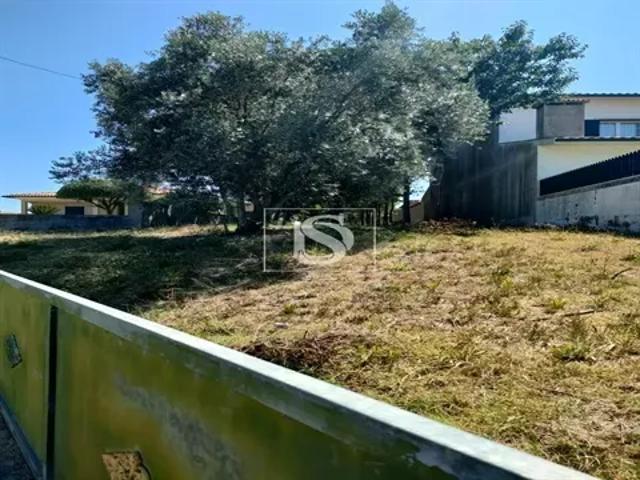 Aveiro Anadia 103541154