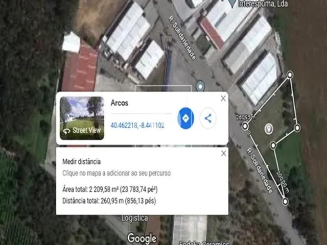 Aveiro Anadia 103541189