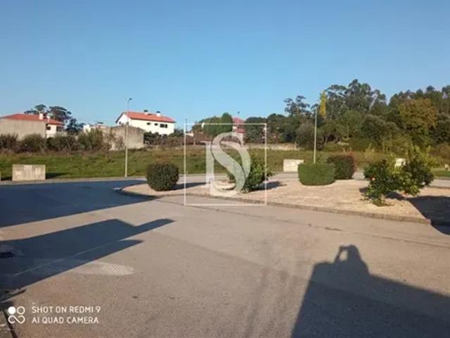 Aveiro Anadia 103557482