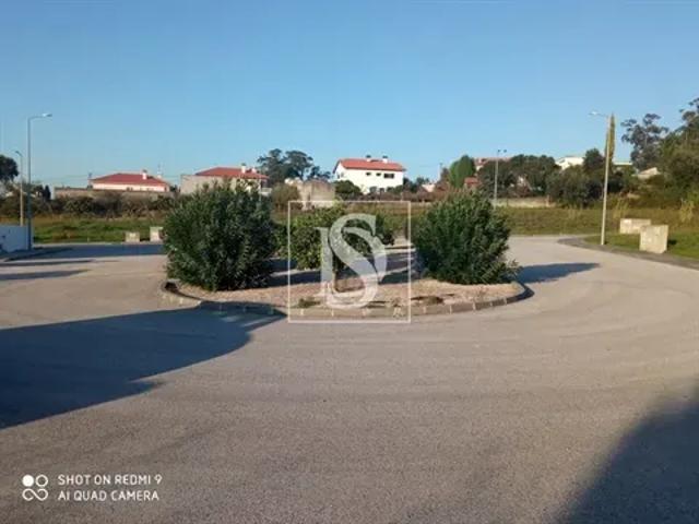 Aveiro Anadia 103557554