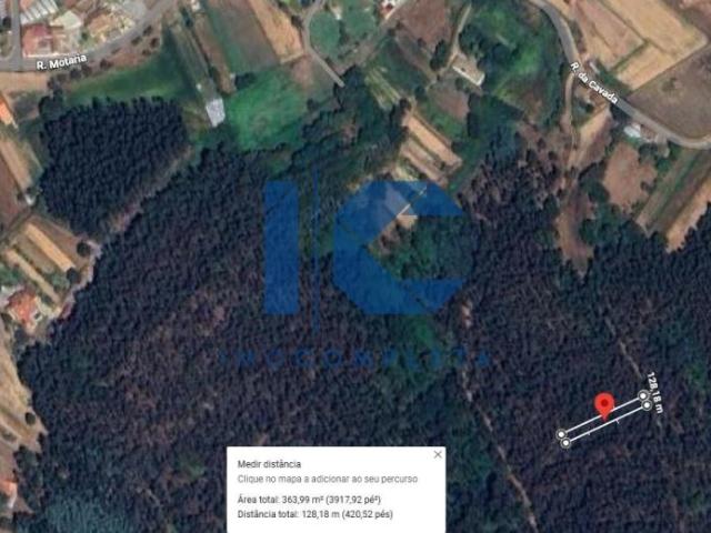 Aveiro Águeda 3750 96649419