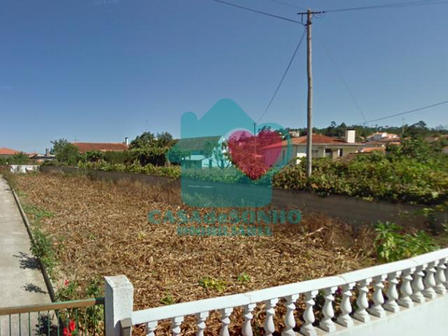 Aveiro Albergaria 3850 103878781