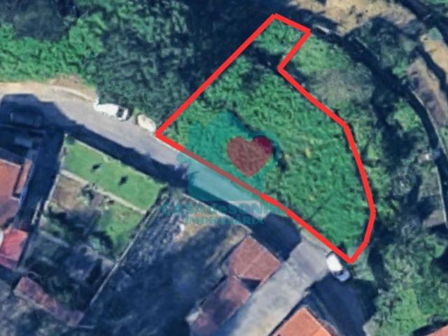Aveiro Albergaria 3850 104143025