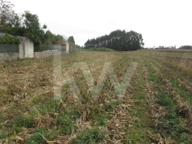 Aveiro Aveiro LS99471774