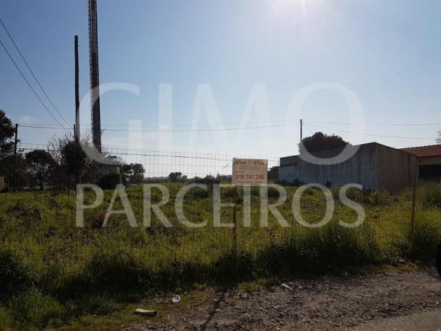Aveiro Aveiro LS99717483
