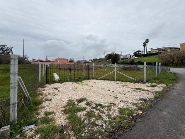 Aveiro Aveiro 101063866