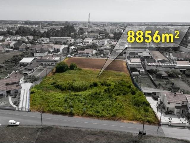 Aveiro Aveiro 103033056