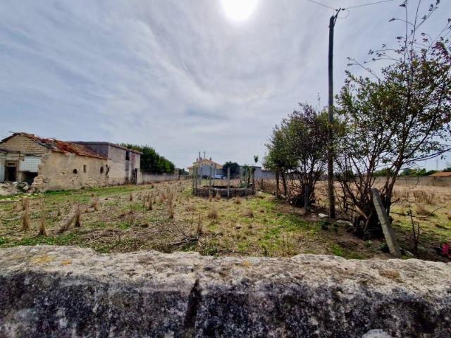Aveiro Aveiro 103416986