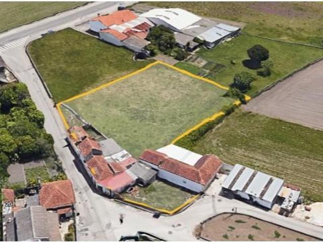 Aveiro Aveiro 103417047