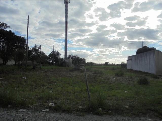 Aveiro Aveiro 103417054