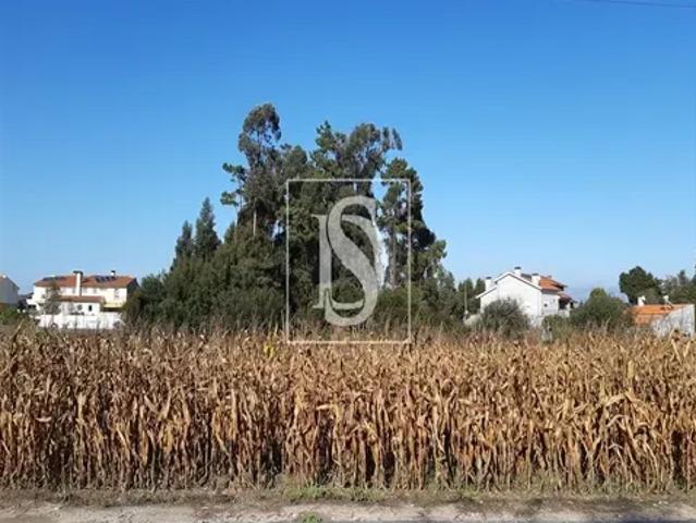 Aveiro Aveiro 103556552