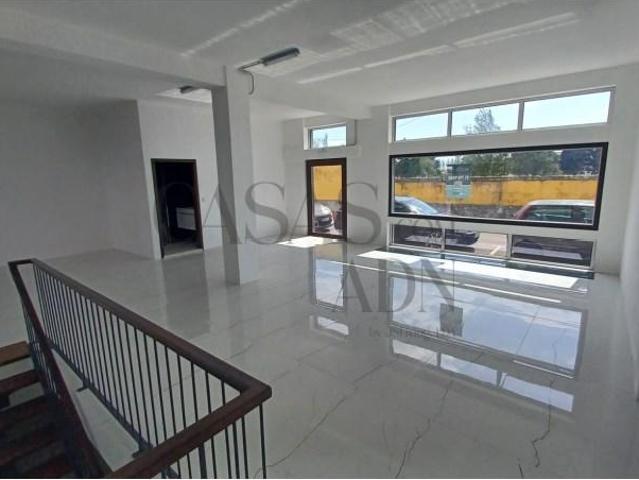 Aveiro Aveiro 104187445
