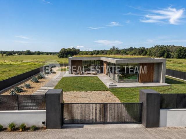 Aveiro Aveiro 104844443
