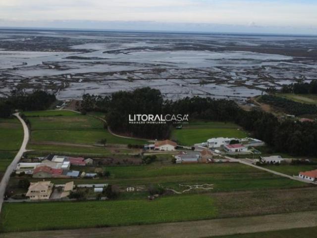Aveiro Aveiro 3800 98048368