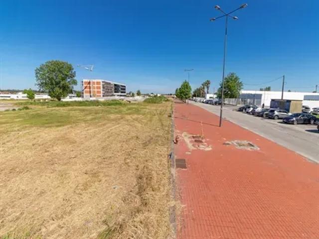 Aveiro Estarreja 103540966