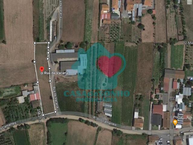 Aveiro Estarreja 3860 103878768
