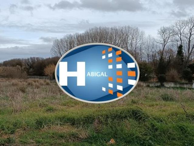 Aveiro Ílhavo 3830 98338833