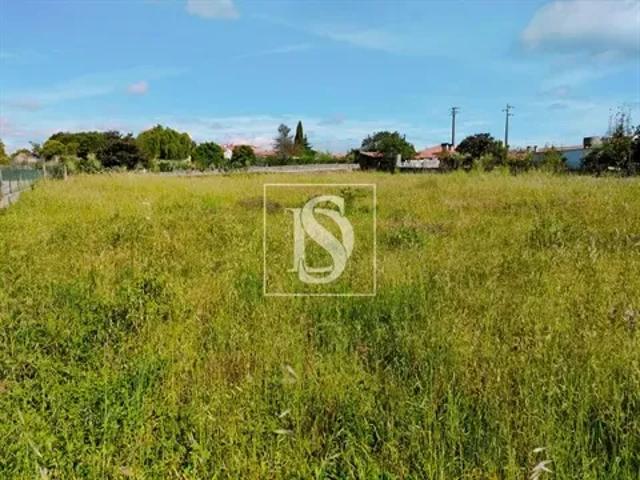 Aveiro Oliveira do Bairro 103541179