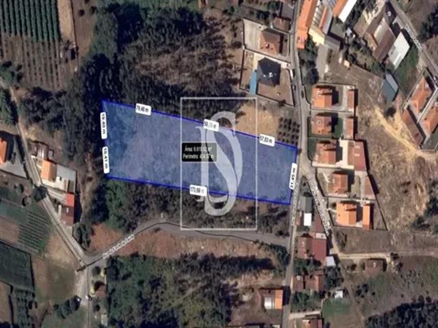 Aveiro Oliveira do Bairro 103554343