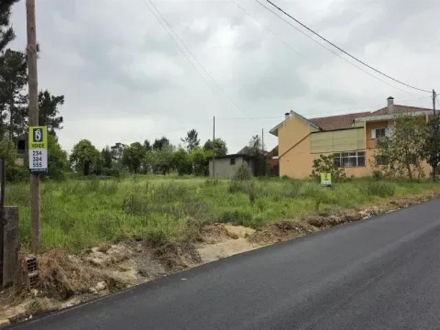 Aveiro Oliveira do Bairro 103559371