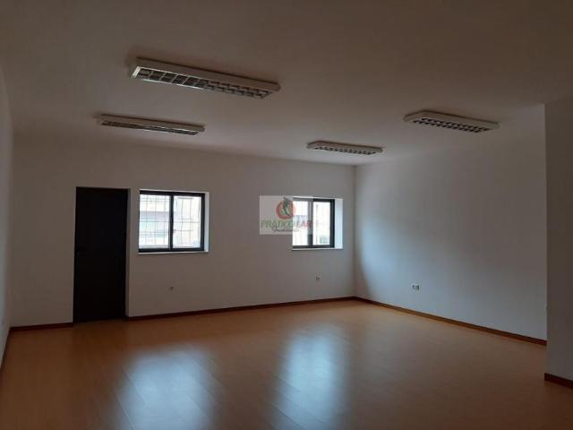 Aveiro Oliveira do Bairro 3770 102394163