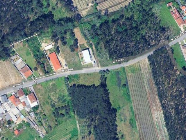 Aveiro Oliveira do Bairro 3770 99223281