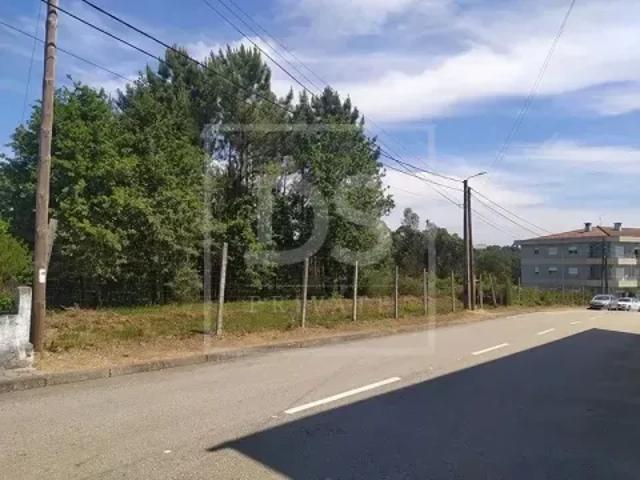 Aveiro Oliveira de Azeméis 103410176