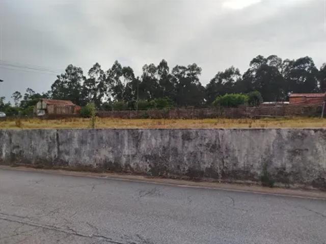 Aveiro Oliveira de Azeméis 103416780
