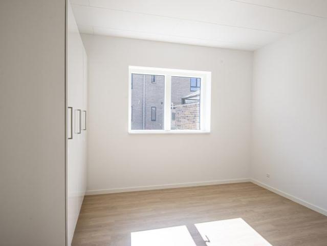 Avenamarken 55