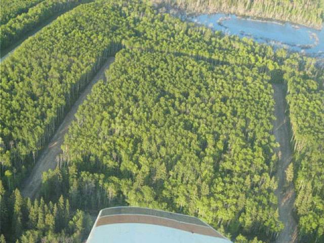 Average Lot Near Emma Lake