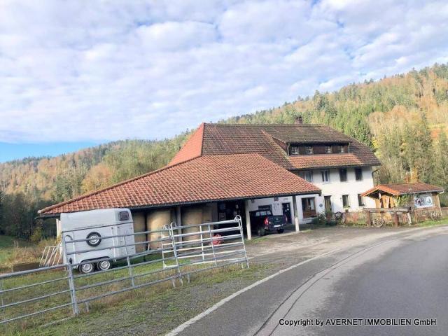 AVERNET EHEMALIGES BAUERNHAUS MIT LÄNDEREIEN IN TODTMOOS