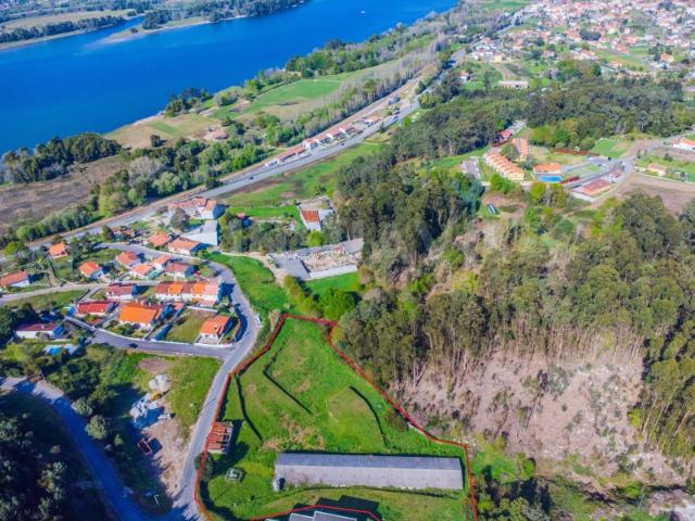 Aviário com 8995 m2 de terreno