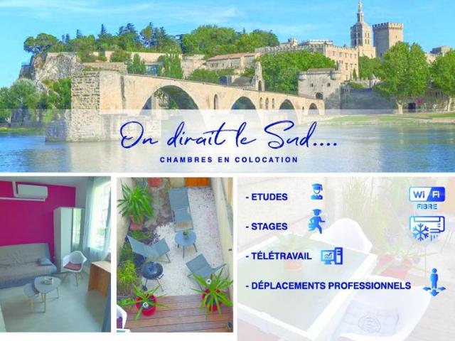 Avignon COLOCATION: 3 Pièces privatives avec SdB