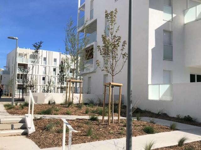 Avignon Location Appartement 84