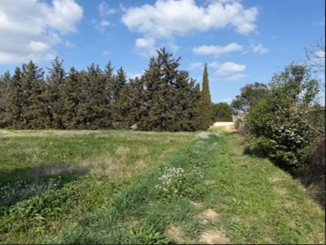 Avignon Vente Terrain 84